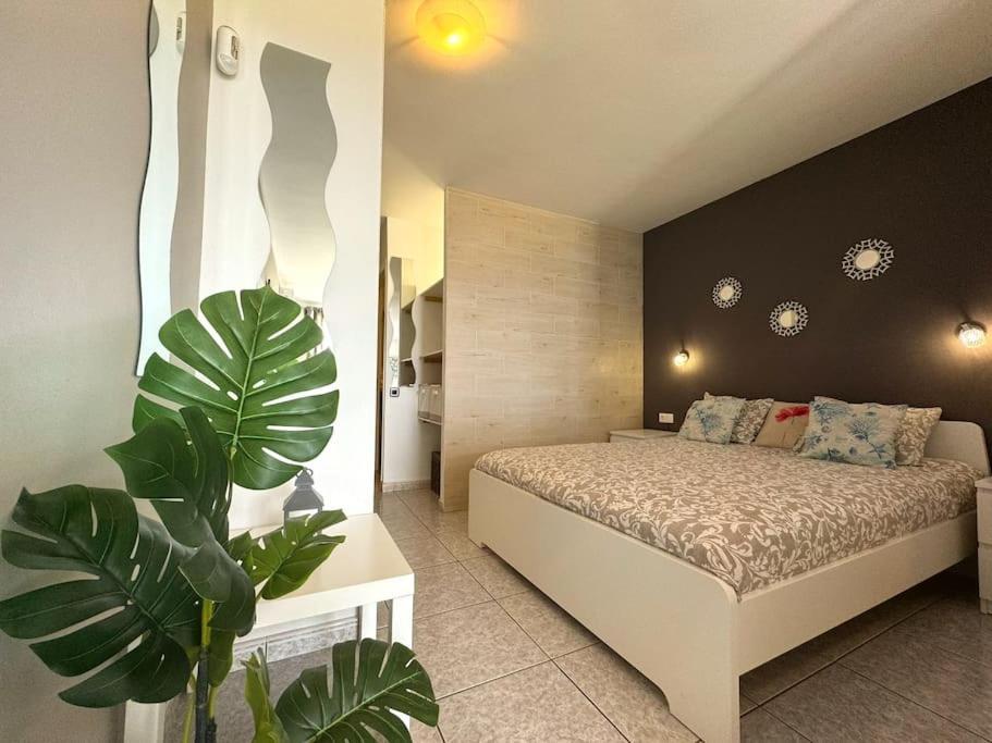 Palm Garden Apartment Морро-дель-Хабле Экстерьер фото